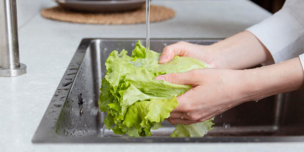 Photo of a worker washing lettuce under running water