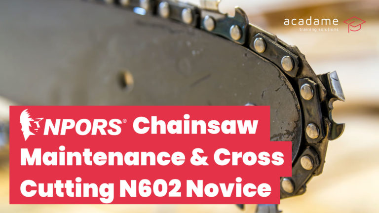 NPORS chainsaw maintenance and cross cutting training course image showing a close-up of a chainsaw guide bar and chain